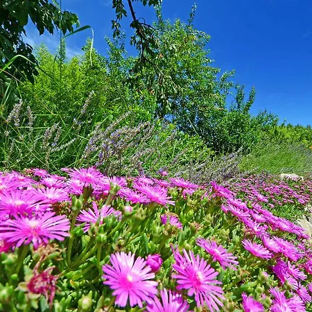 Holiday home Holiday Gasparini *