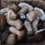 Дом отдыха Gasparini